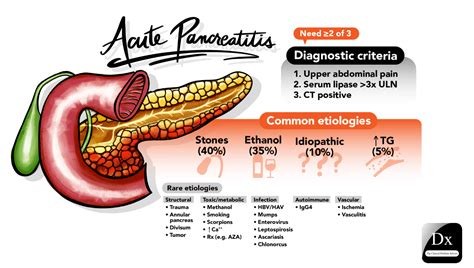 Acute Pancreatitis – The Clinical Problem Solvers