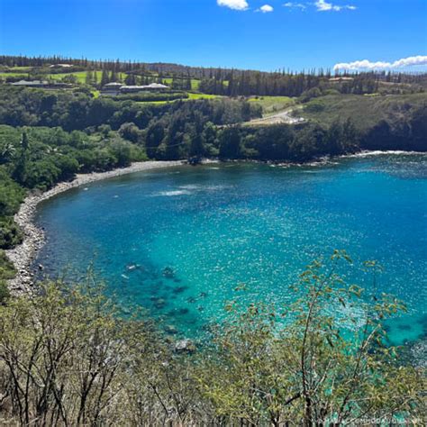 How To See Turtles on Maui - Maui Accommodations Guide