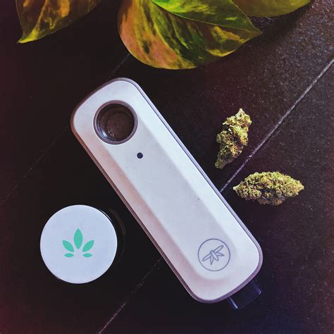 A Complete Guide to Popular Cannabis Smoking Pipes and Devices