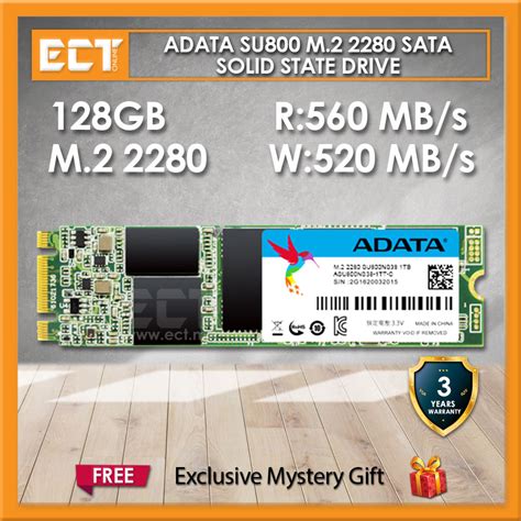 ADATA SU800 M.2 SATA 128GB/256GB/512GB Solid State Drive SSD