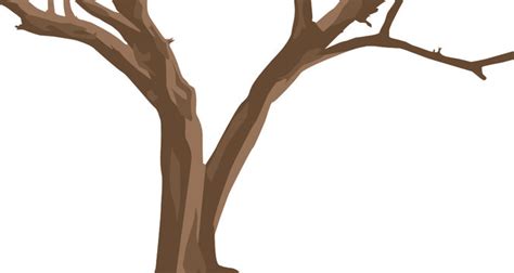 Animated Tree Branch Clip Art