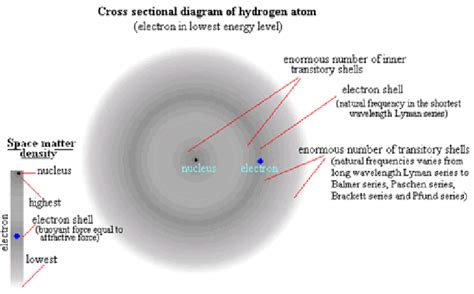 Cross sectional diagram of hydrogen atom [19] | Download Scientific Diagram