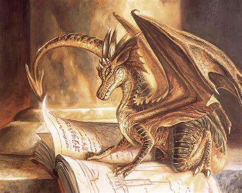 Image - Golden Dragon Reading Book.jpg | Bookwyrm Wiki | Fandom powered by Wikia