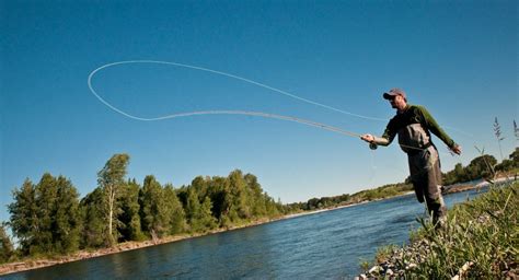 The 5 Essentials Of A Good Fly Cast Revisited - Fly Fishing | Gink and ...