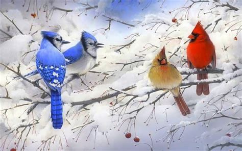 Blue Jays and Cardinals in Winter Tree Image - ID: 411552 - Image Abyss