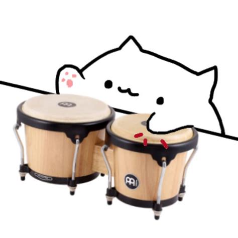 The Refreshing Meme of a Cat Playing Bongo Drums