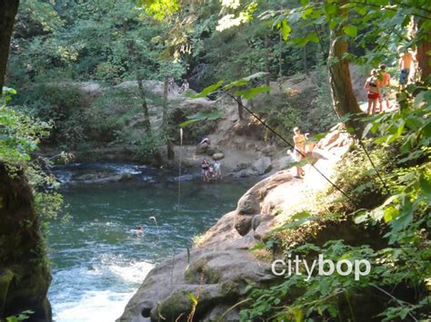 5 BEST Things to Do at Whatcom Falls Park