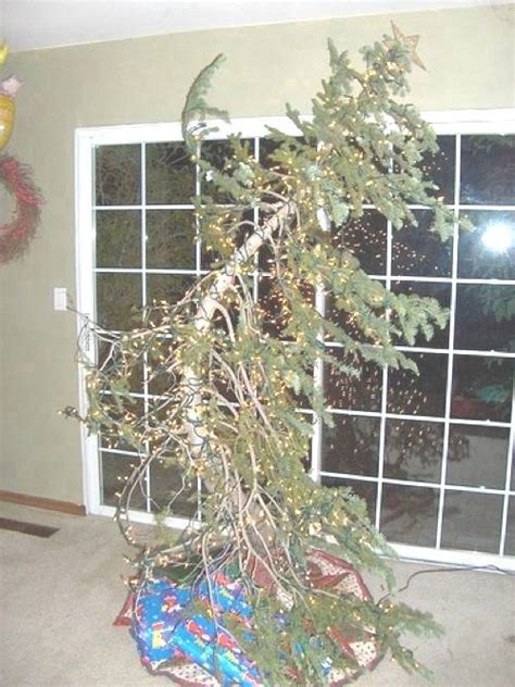 The Fifteen Ugliest Christmas Trees Known To Man