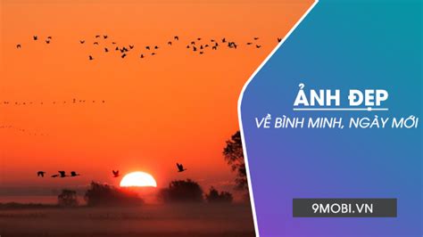 Xem ngay: Top 14 hình ảnh bình minh trên biển đẹp hay nhất bạn nên biết