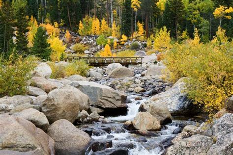 Autumn in the Rocky Mountains Stock Image - Image of yellow, mountains ...