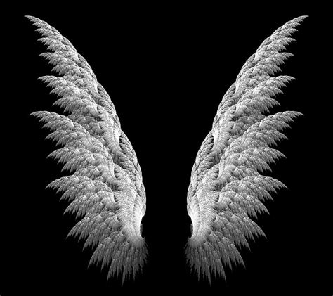 1920x1080px, 1080P free download | Angel Wings, black, white, HD wallpaper | Peakpx