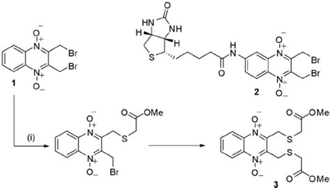 Structure of Conoidin A (1) and its biotinylated derivative, 2 ...