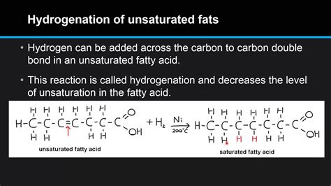 F.2.4 Describe the process of hydrogenation of unsaturated fats. - YouTube