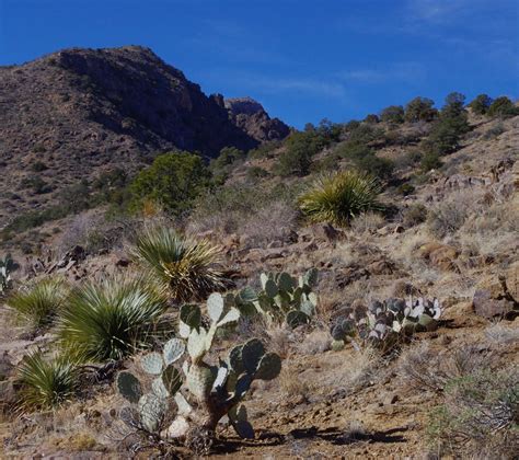 Southern New Mexico Explorer: Florida Mountains- Three Little Hills,Baldy Peak Area