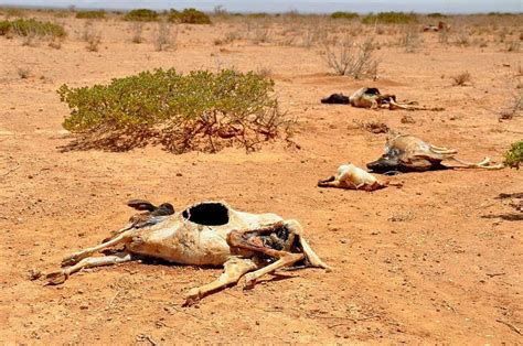 Worst Droughts in History | List of Famous Droughts and Famines