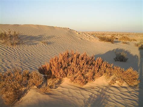 Tunisian desert Free Photo Download | FreeImages