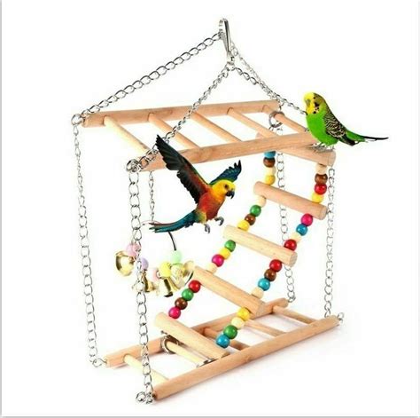 Bird Cage Perches Swings for Parrots Hanging Ladder