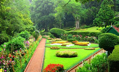 places to visit in coonoor - Top 10 Coonoor tourist places