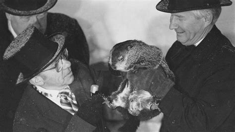 What is Groundhog Day and why is it celebrated on February 2? - The ...