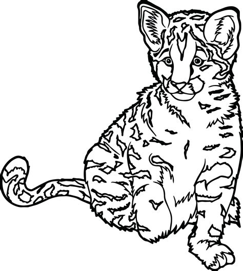 Big Cat Coloring Pages at GetColorings.com | Free printable colorings ...