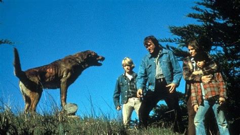 The Pack (1977) - Backdrops — The Movie Database (TMDB)