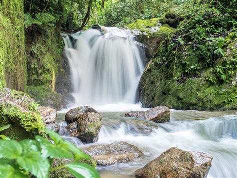 Waterfall in the Ecuadorian Jungle Photograph by Ashton MacIntyre - Fine Art America