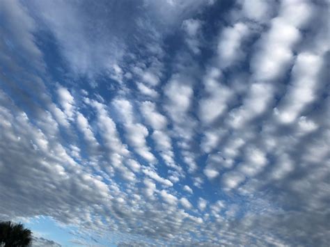 Types Of Clouds Based On Their Formations (Science)