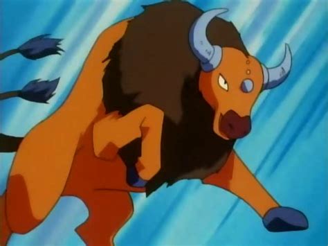 Tauros | DReager1.com