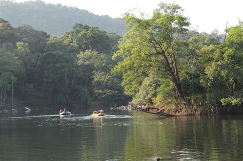 Dandeli Kayaking Greenery Water - Free photo on Pixabay - Pixabay