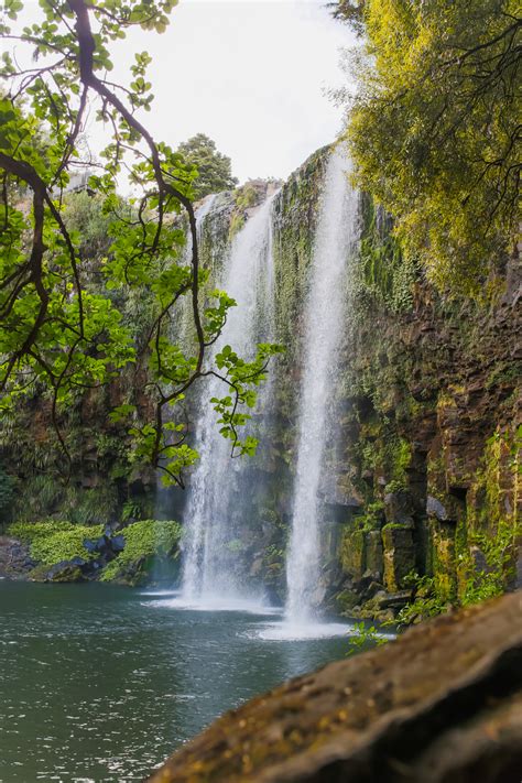 Whangarei Falls - Let's Be Explorers