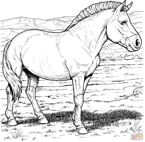 Realistic Printable Horse Coloring Pages