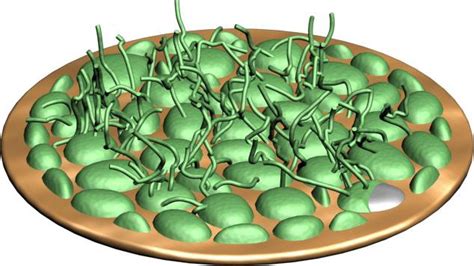 Adding Lithium Nitrate [IMAGE] | EurekAlert! Science News Releases