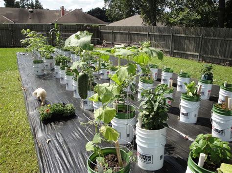 Awesome Container Vegetable Garden Layout | Garden layout vegetable, Container gardening ...