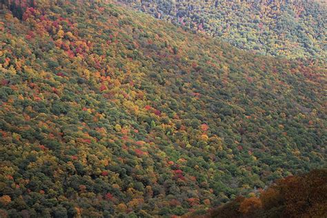 Glassmine Falls Overlook Photograph by Cathy Lindsey - Fine Art America