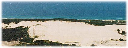 The Kurnell Peninsula - Sand Dunes