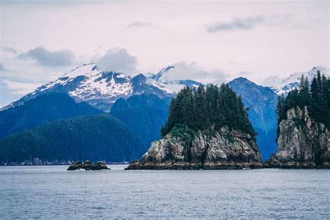 Kenai Fjords National Park, Seward, Alaska. [OC] [6000x4000] : r/EarthPorn