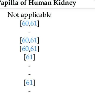 Markers of progenitor cells located in the papilla of human or rodent ...