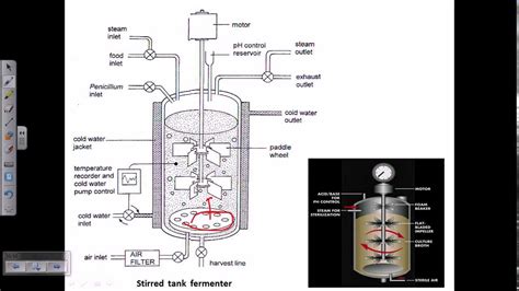 Industrial Microbiology introduction - YouTube