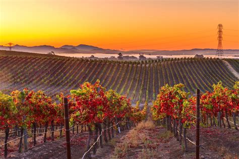 A Wine Lover's Dream: California's Must-See Wineries and Vineyards ...