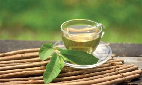 Guava Leaves Tea During Pregnancy- Is It Safe?