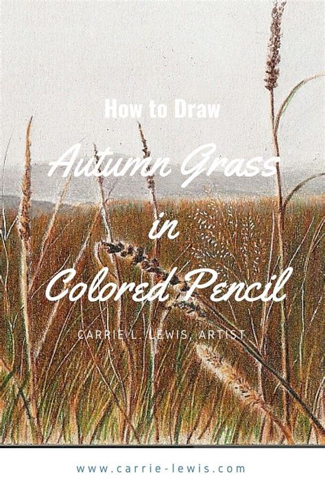 How to Draw Autumn Grass in Colored Pencil - Carrie L. Lewis, Artist ...