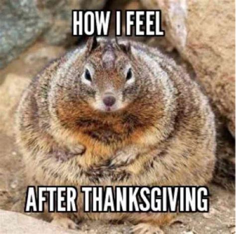 Funny Thanksgiving Memes 2024 - Afton Ardenia