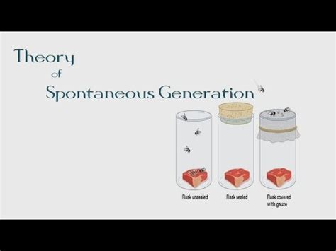 #5 Theory of Spontaneous Generation | The BioChemistry Guide | 2014 - YouTube