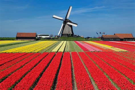 Dutch Tulip Farmers Are Writing Uplifting Messages in Their Flower Fields | Architectural Digest