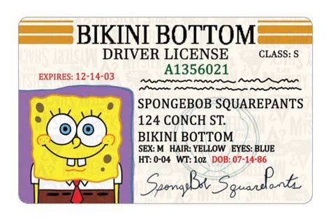 ID Cards - SpongeBob SquarePants - TheMysteryShack