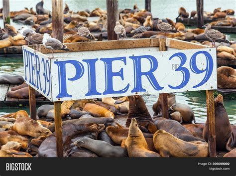 Fisherman's Wharf On Image & Photo (Free Trial) | Bigstock