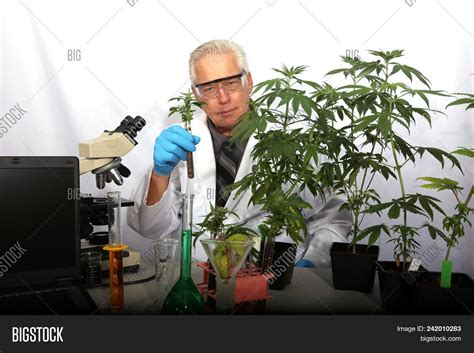 Botanical Research Image & Photo (Free Trial) | Bigstock