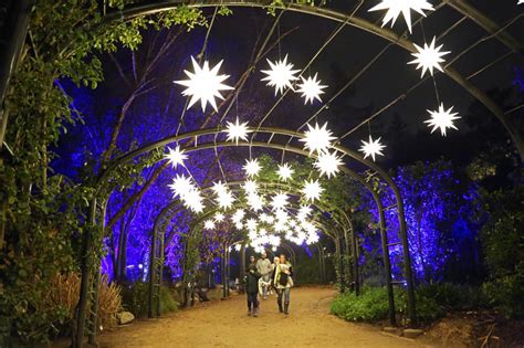 DESCANSO GARDENS ANNOUNCES 2021 DATES FOR BELOVED HOLIDAY EVENTS, “CARVED” AND “ENCHANTED ...