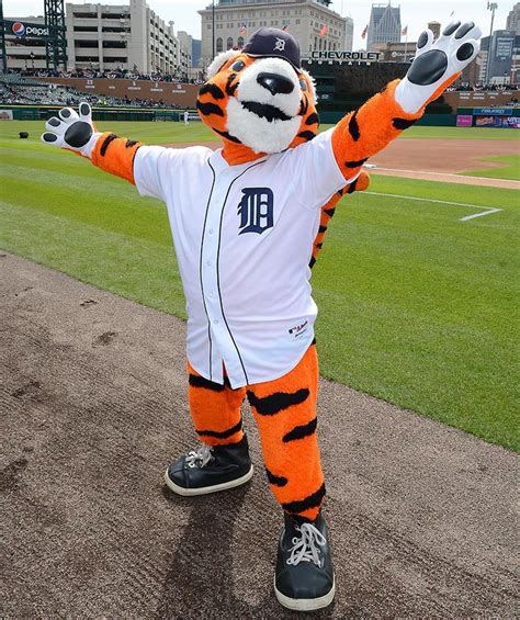 Ranking the MLB Mascots | Detroit tigers baseball, Mascot, Tigers baseball