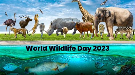 World Wildlife Day 2023: Why Wildlife Is Important for the Environment